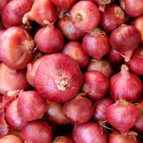 Bulk Onion Export from India