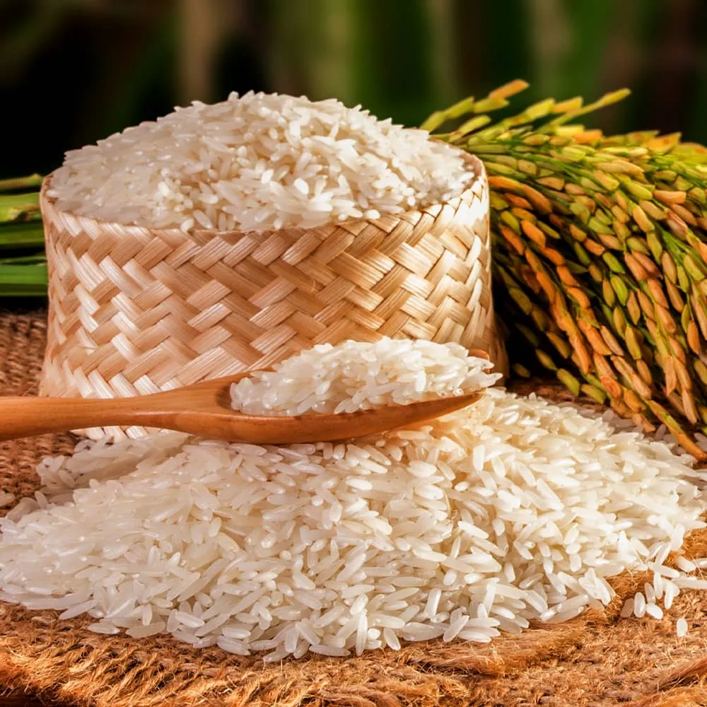 Basmati Rice Processing Plant